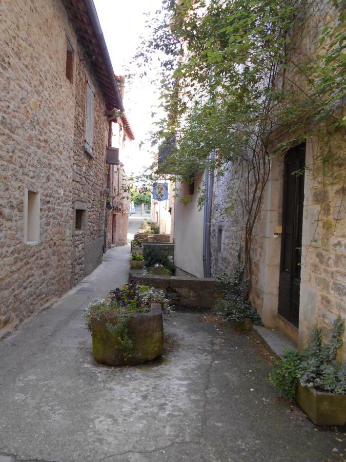 7 Rue Droite Villa Saint-Antonin Exterior foto