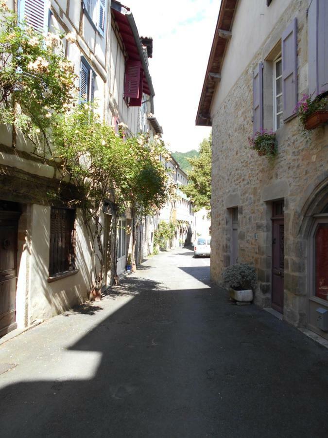 7 Rue Droite Villa Saint-Antonin Exterior foto